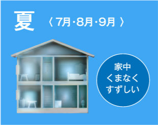 夏