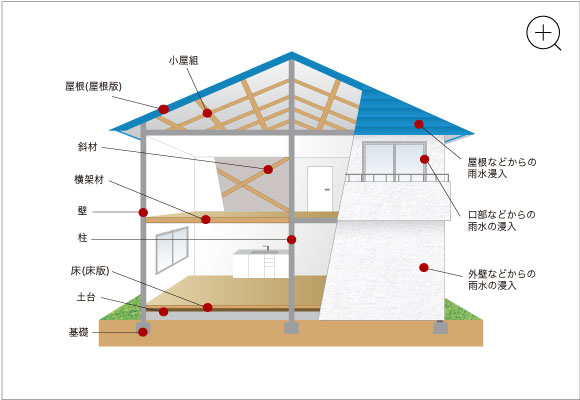 建物初期保証20年